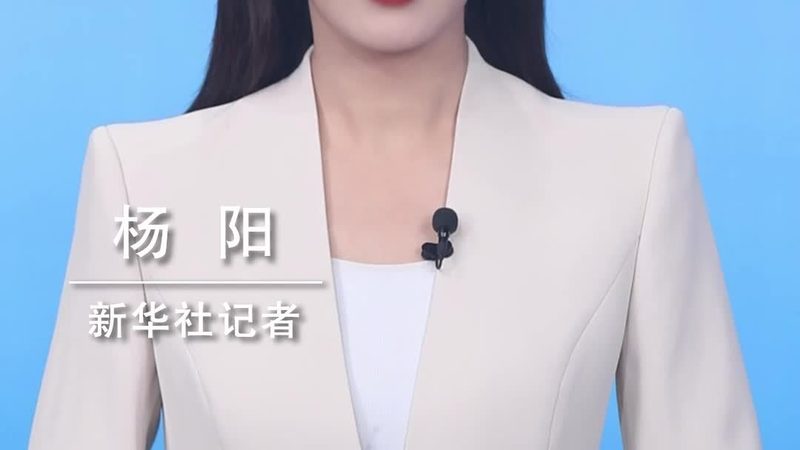数据服务，选对厂商是关键——广东数据服务厂商如何选择**