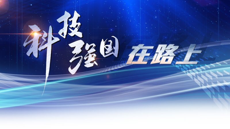 数字化转型与信息化建设：本质差异与关键要点**